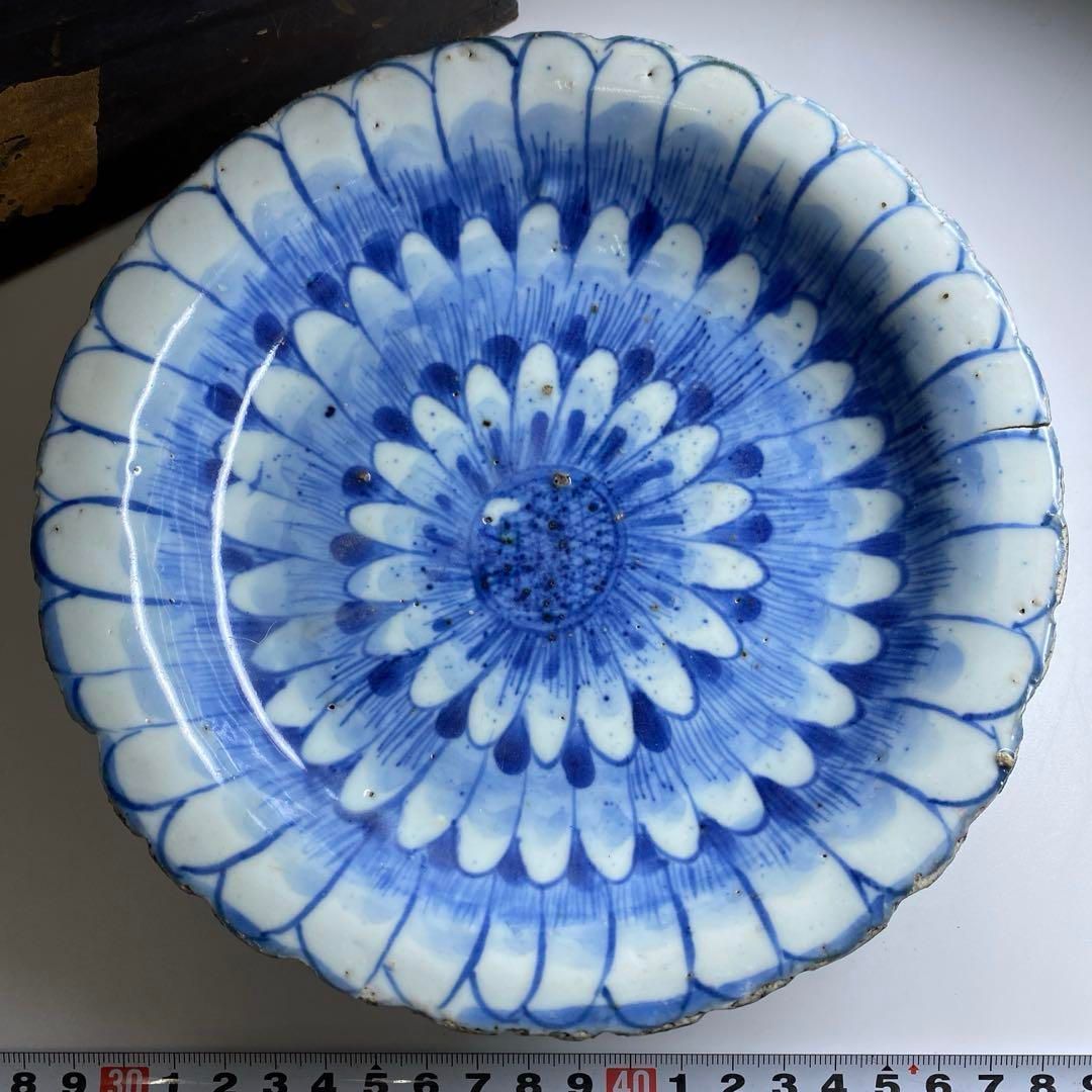 中国清末民初時代 古染付上手菊皿 約18.5㎝ 東Y7-0116 2Fチコトヒ