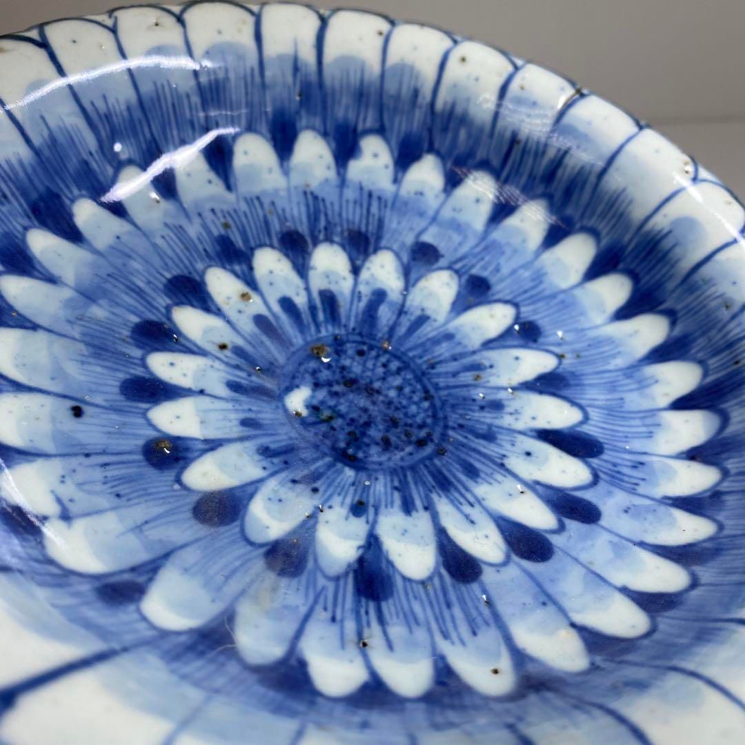 中国清末民初時代 古染付上手菊皿 約18.5㎝ 東Y7-0116 2Fチコトヒ