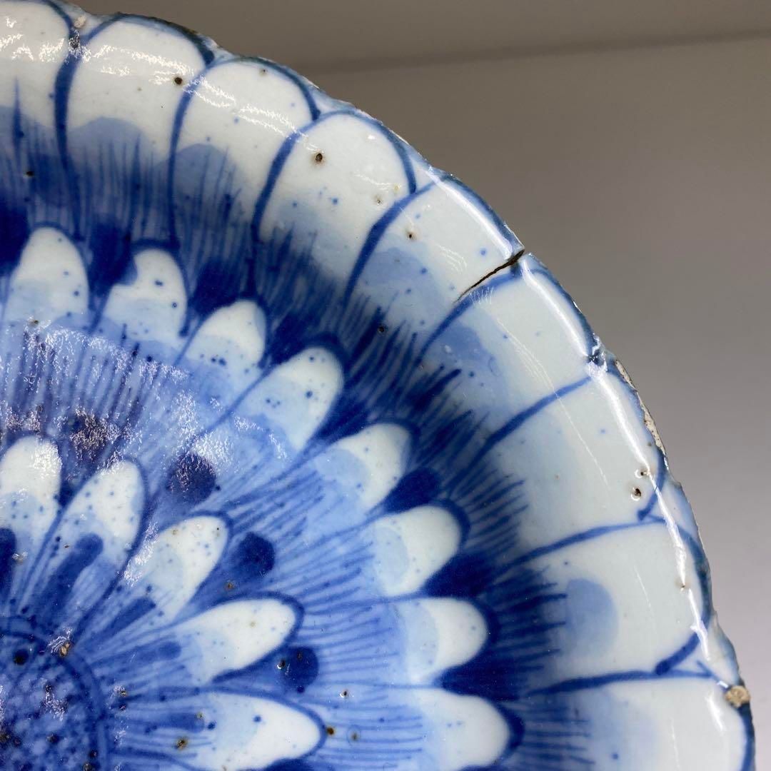 中国清末民初時代 古染付上手菊皿 約18.5㎝ 東Y7-0116☆2Fチコトヒ