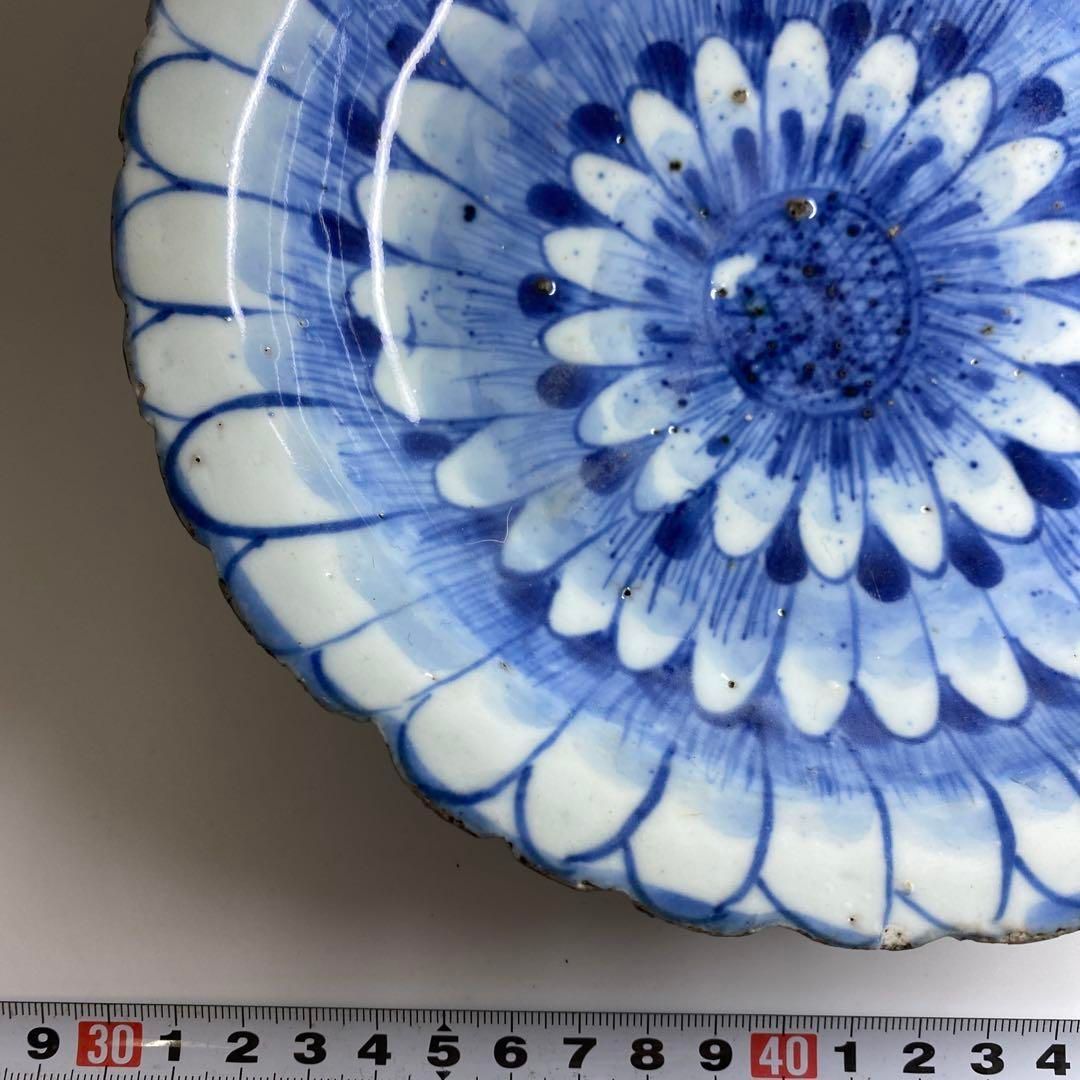 中国清末民初時代 古染付上手菊皿 約18.5㎝ 東Y7-0116☆2Fチコトヒ