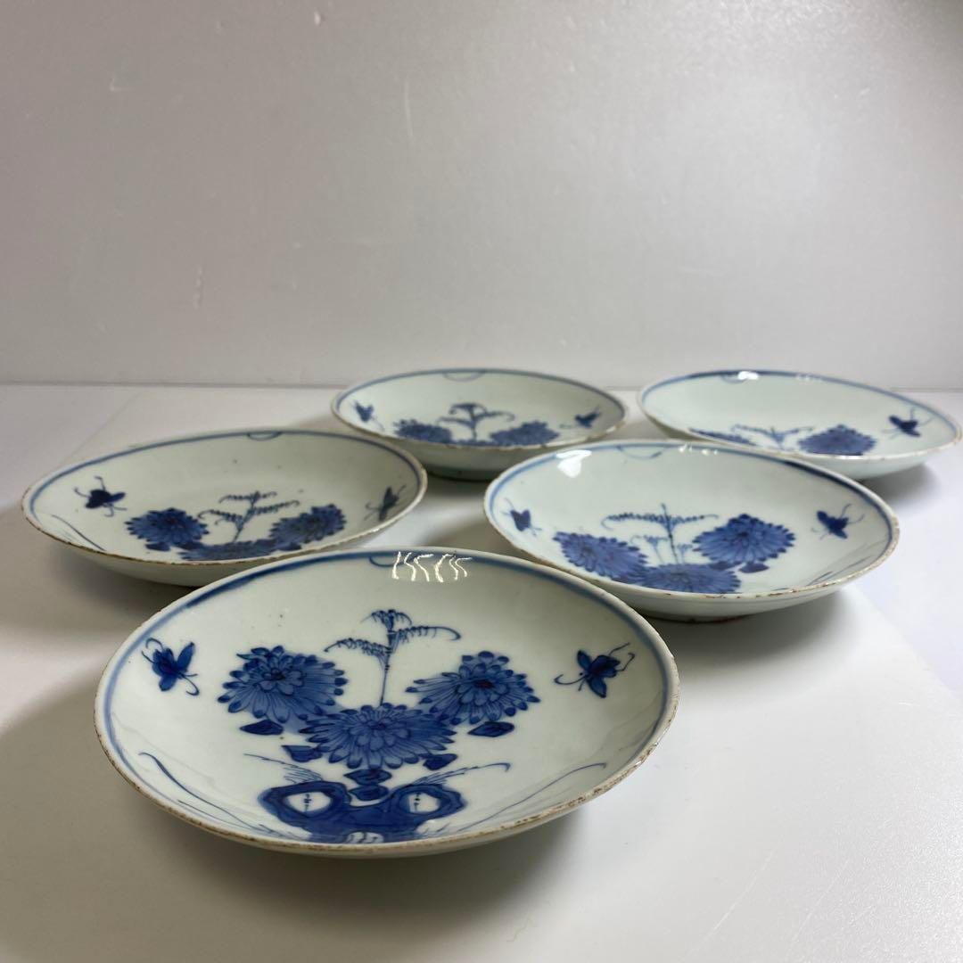 中国明時代 古染付上手菊図皿5枚 木箱付 約