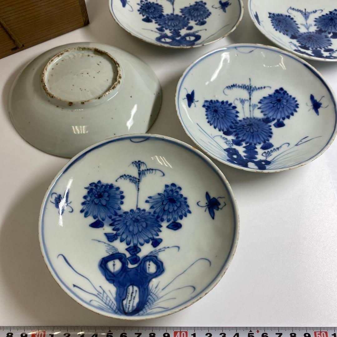 中国明時代 古染付上手菊図皿5枚 木 約15.5㎝ 東Y7-0116 2F