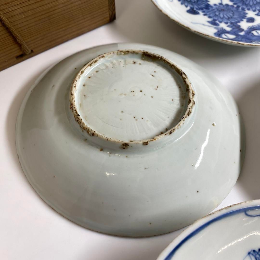 中国明時代 古染付上手菊図皿5枚 木箱付 約