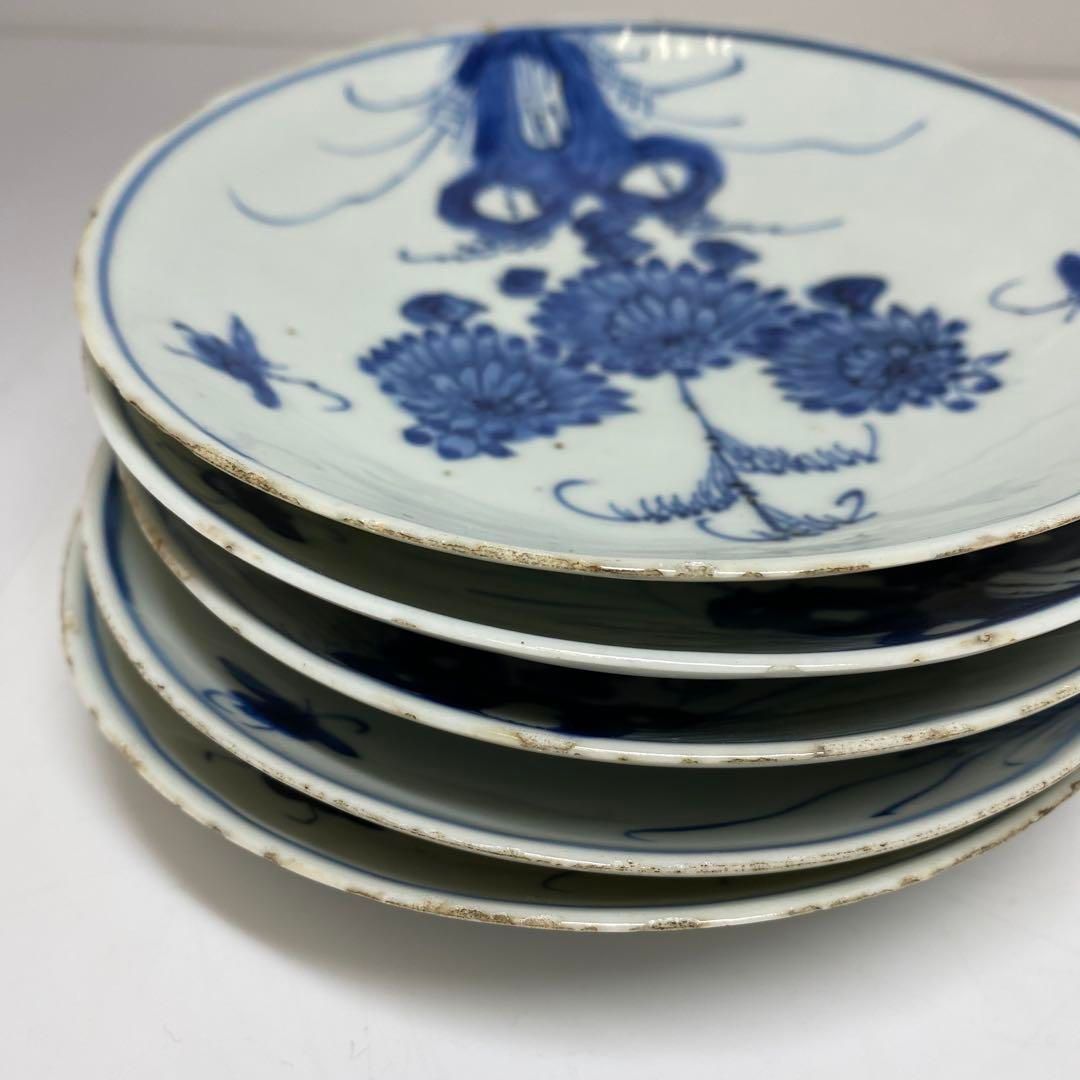 中国明時代　古染付上手菊図皿5枚　木箱付　約15.5㎝ 東Y7-0116☆2F 中国明時代 古染付上手菊図皿5枚 木箱付 約15.5㎝ 東Y7-0116☆2F