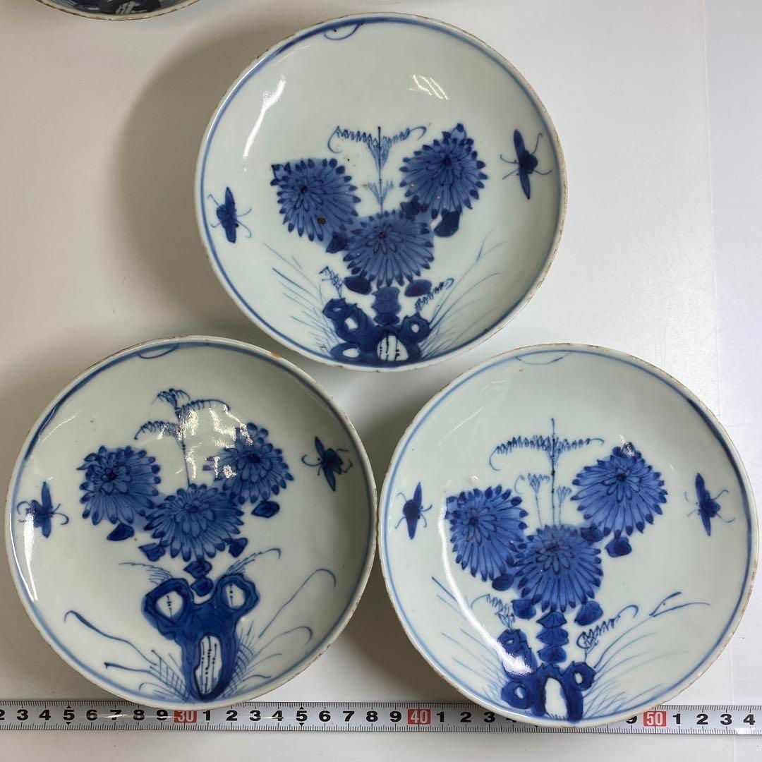 中国明時代 古染付上手菊図皿5枚 木箱付 約15.5㎝ 東Y7-0116☆2F