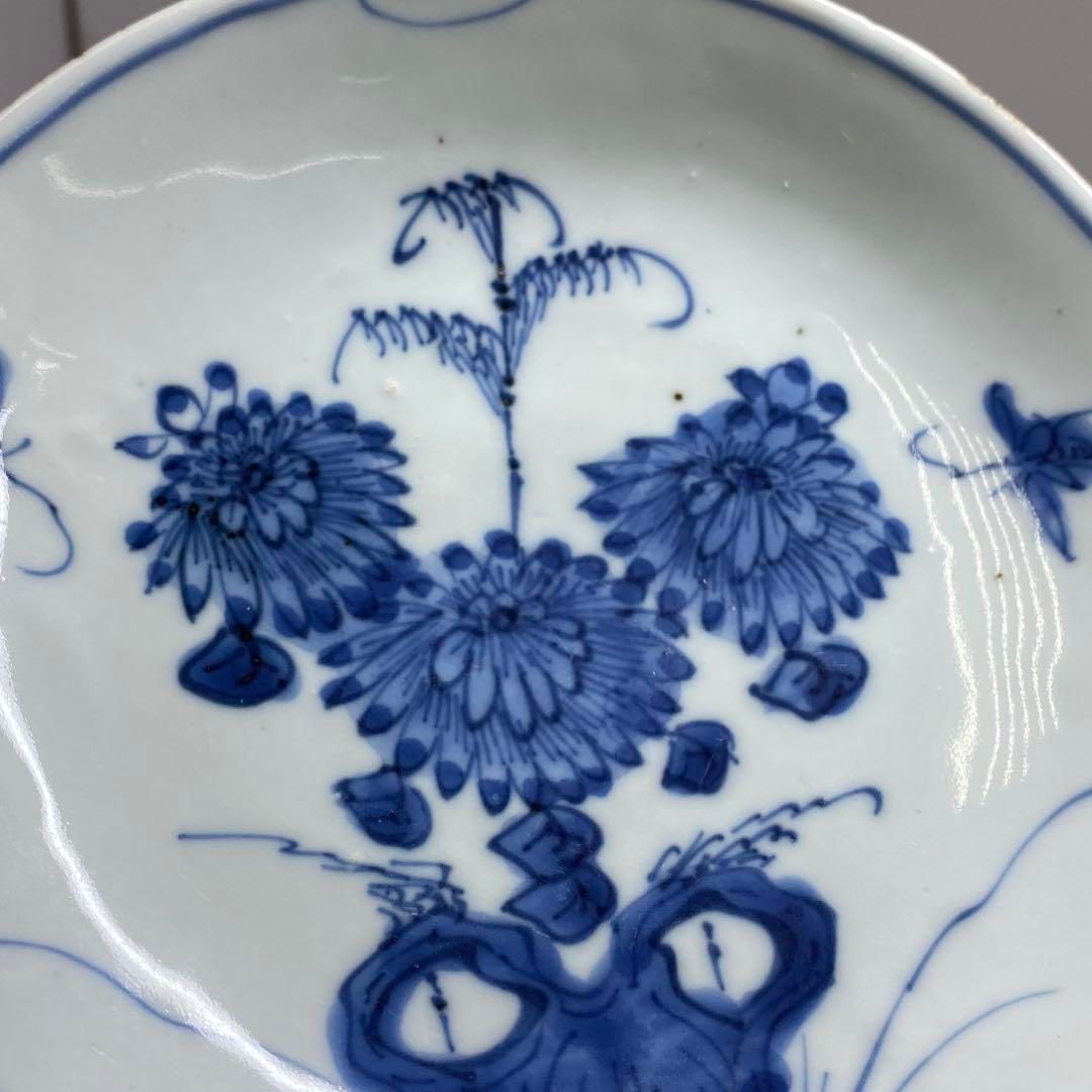 中国明時代　古染付上手菊図皿5枚　木箱付　約15.5㎝ 東Y7-0116☆2F 中国明時代 古染付上手菊図皿5枚 木箱付 約15.5㎝ 東Y7-0116☆2F