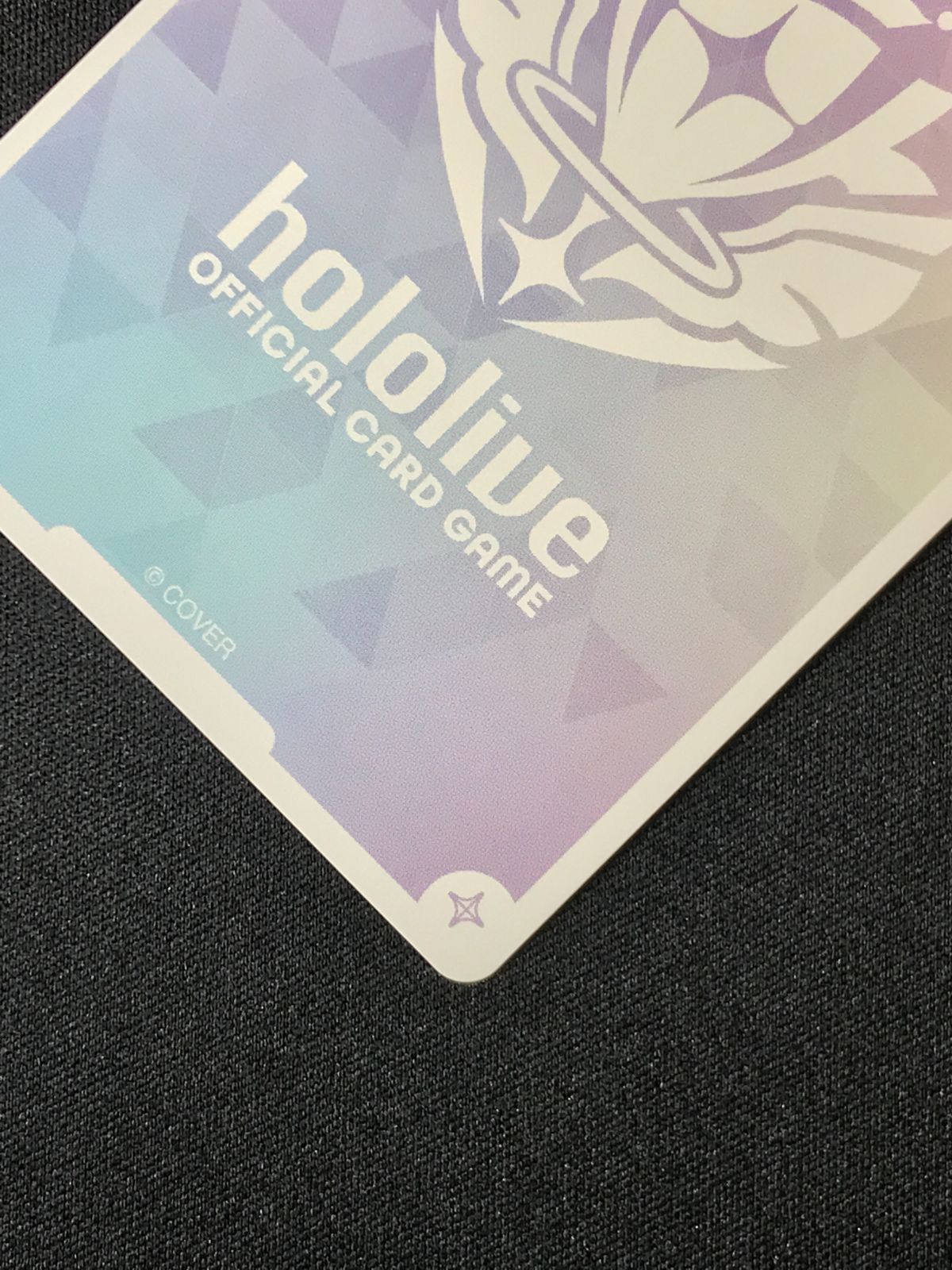 ホロカ 尾丸ポルカ