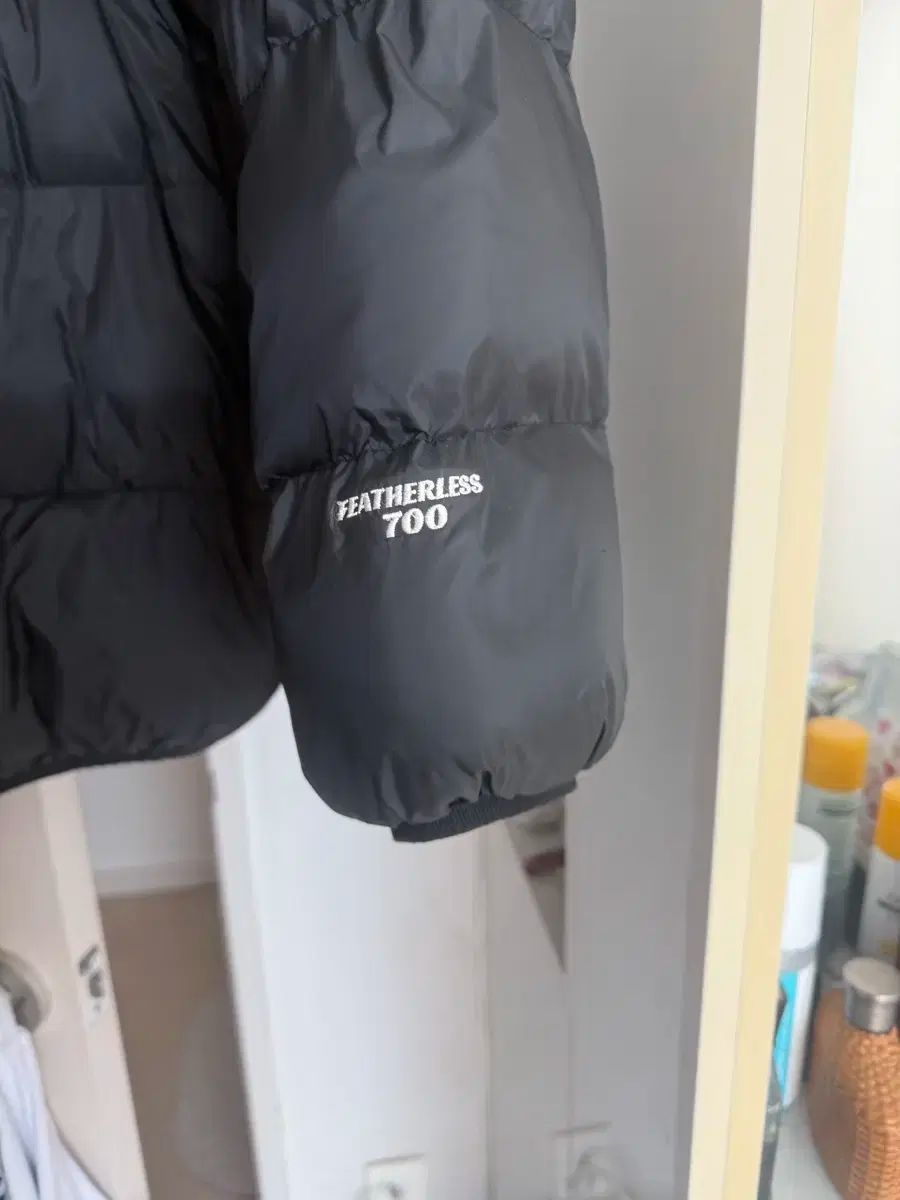 圧倒ダウン L ノース洗濯 ぷりぷりなやつ KANDAIZUMI_COM