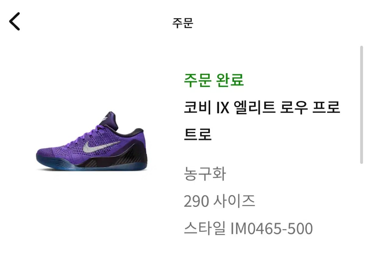 290 コービー 9 エリート ロー ロット ハイパー グレープ アンド ケイヴ