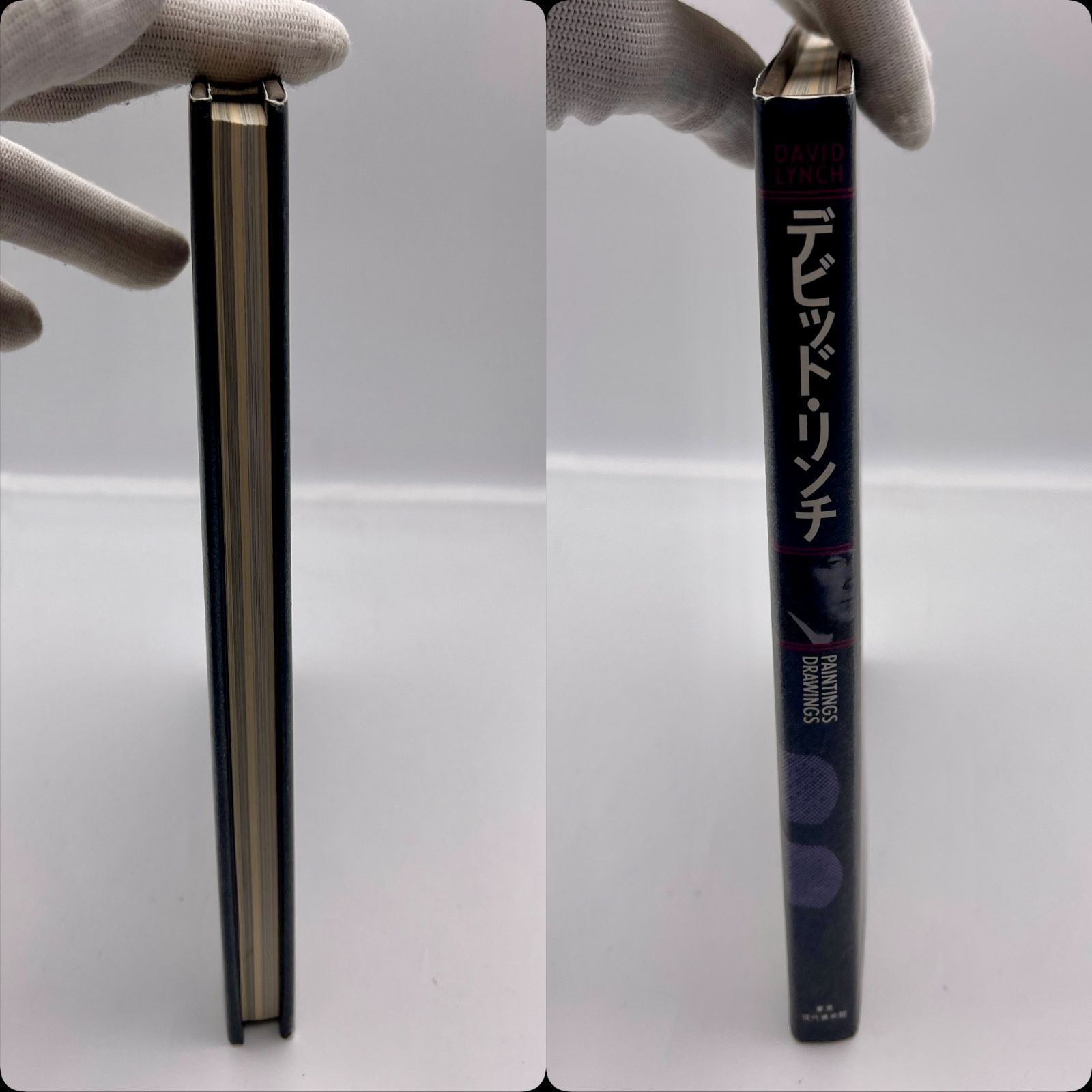 デビッド・リンチ　PAINTINGS & DRAWINGS デビッド・リンチ Painting & Drawing - David Lynch