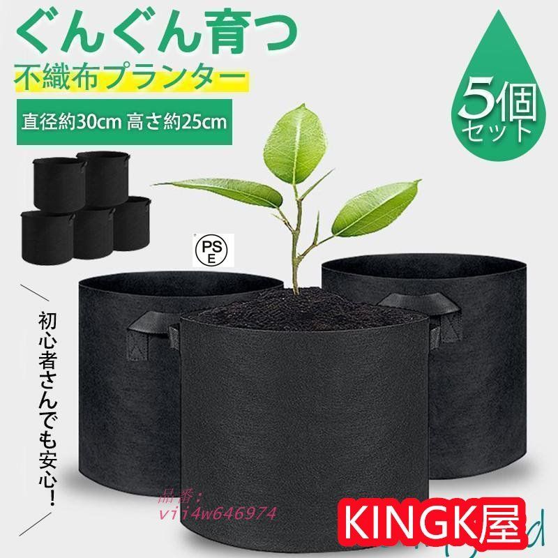 天龍筆 絹本彩色画山水図 桐共箱 タトウ箱付 肉筆画