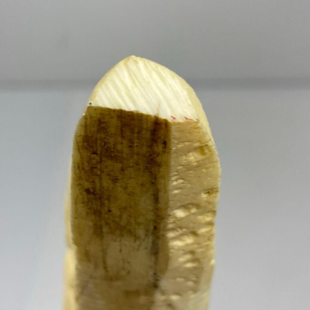 カバ牙材 象の橋渡り