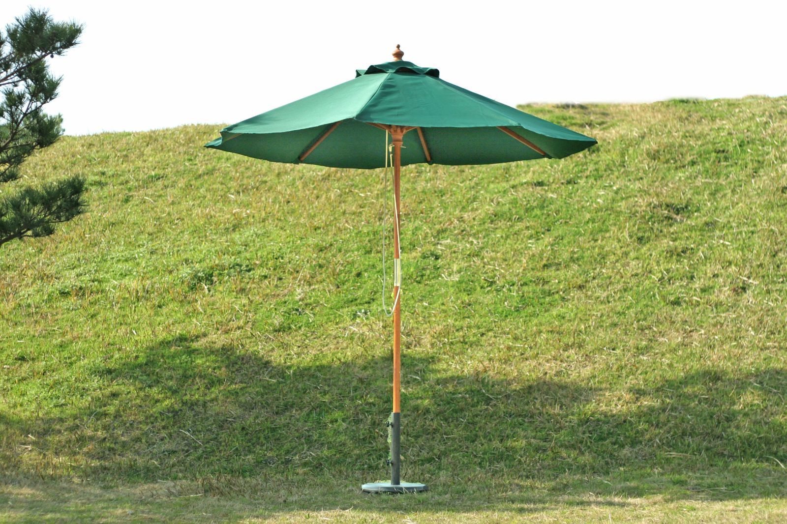 新着商品 木製 日除け 天然木 グリーン 幅193×奥行193×高さ222㎝ 直径210cm パラソル ガーデン 38696 不二貿易