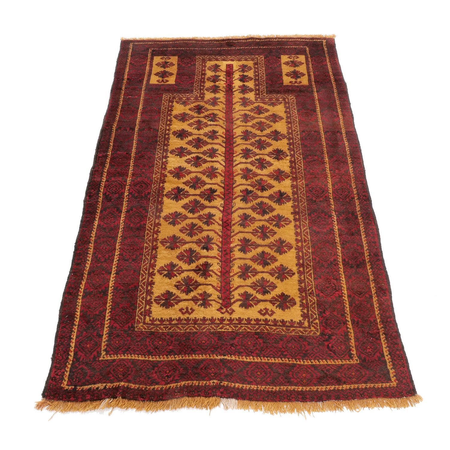 ミフラーブ 生命の樹