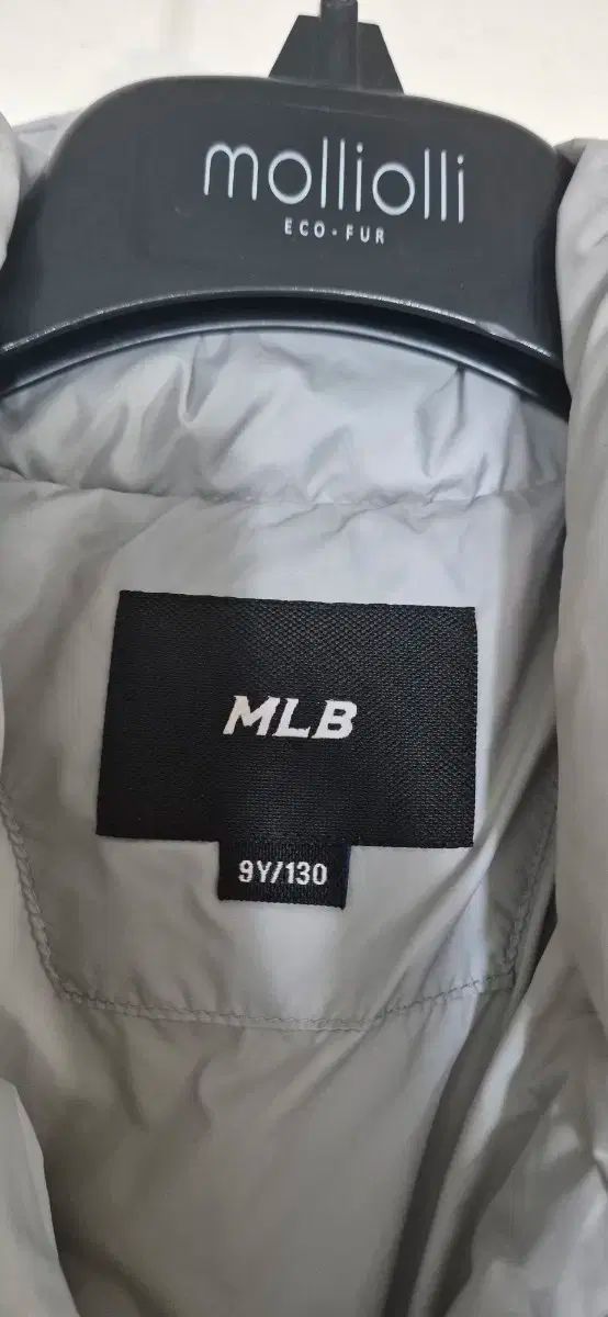 ダウン グースダウン