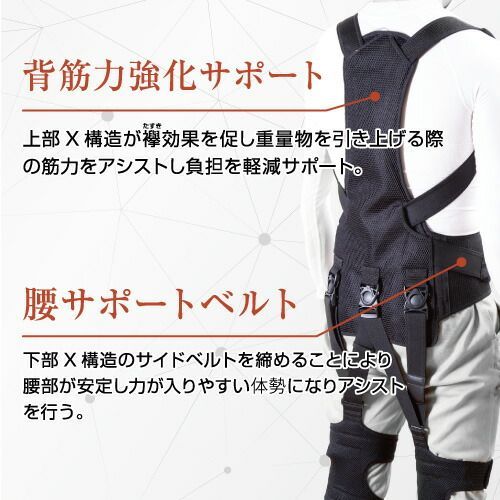 ワーキングパワースーツX サイズ