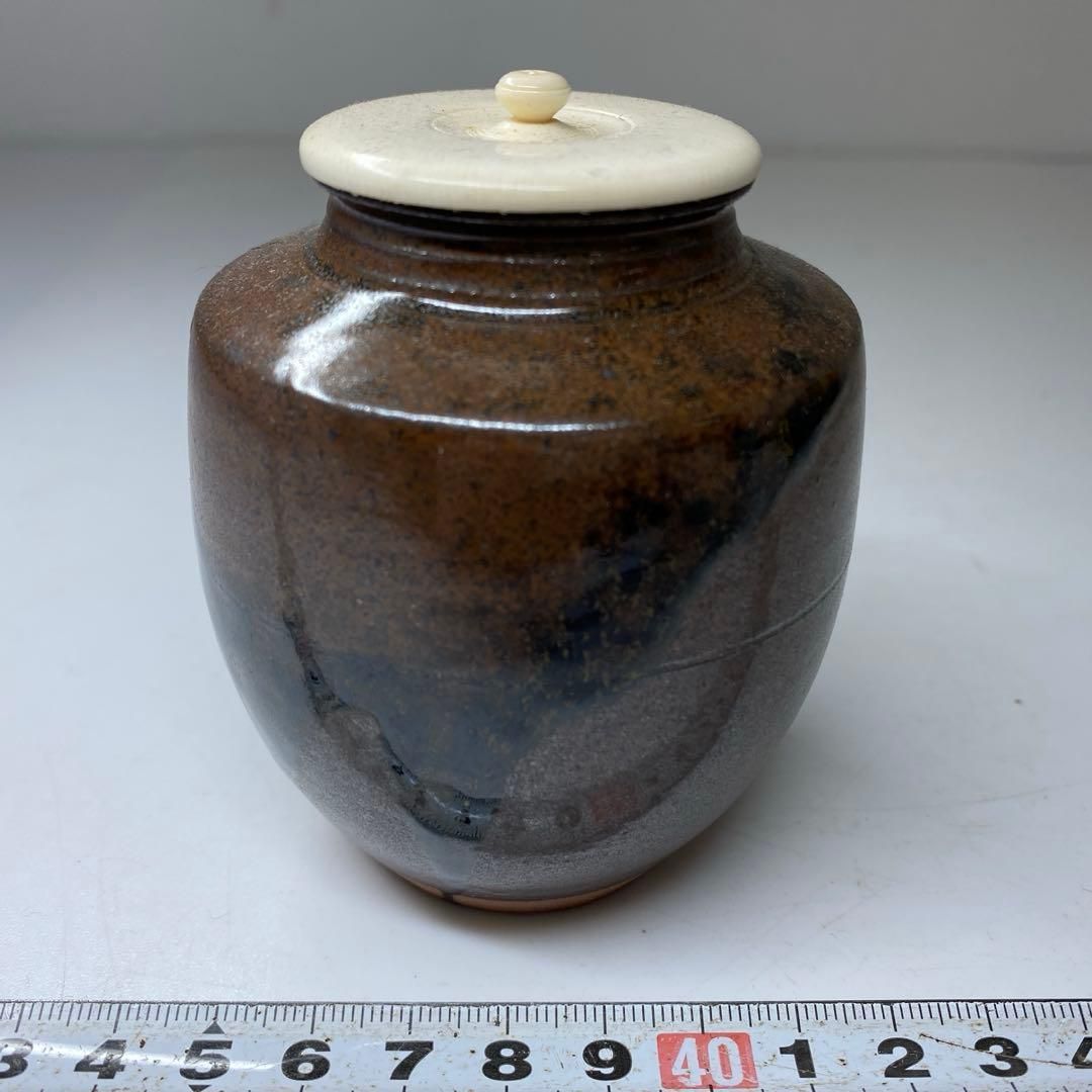 笹田有祥 模初花肩衝茶入 共箱 高さ9㎝ 東な7-0125