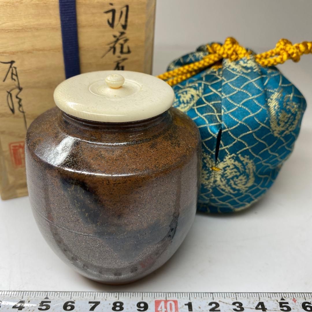 笹田有祥 模初花肩衝茶入 共箱 高さ9㎝ 東な7-0125