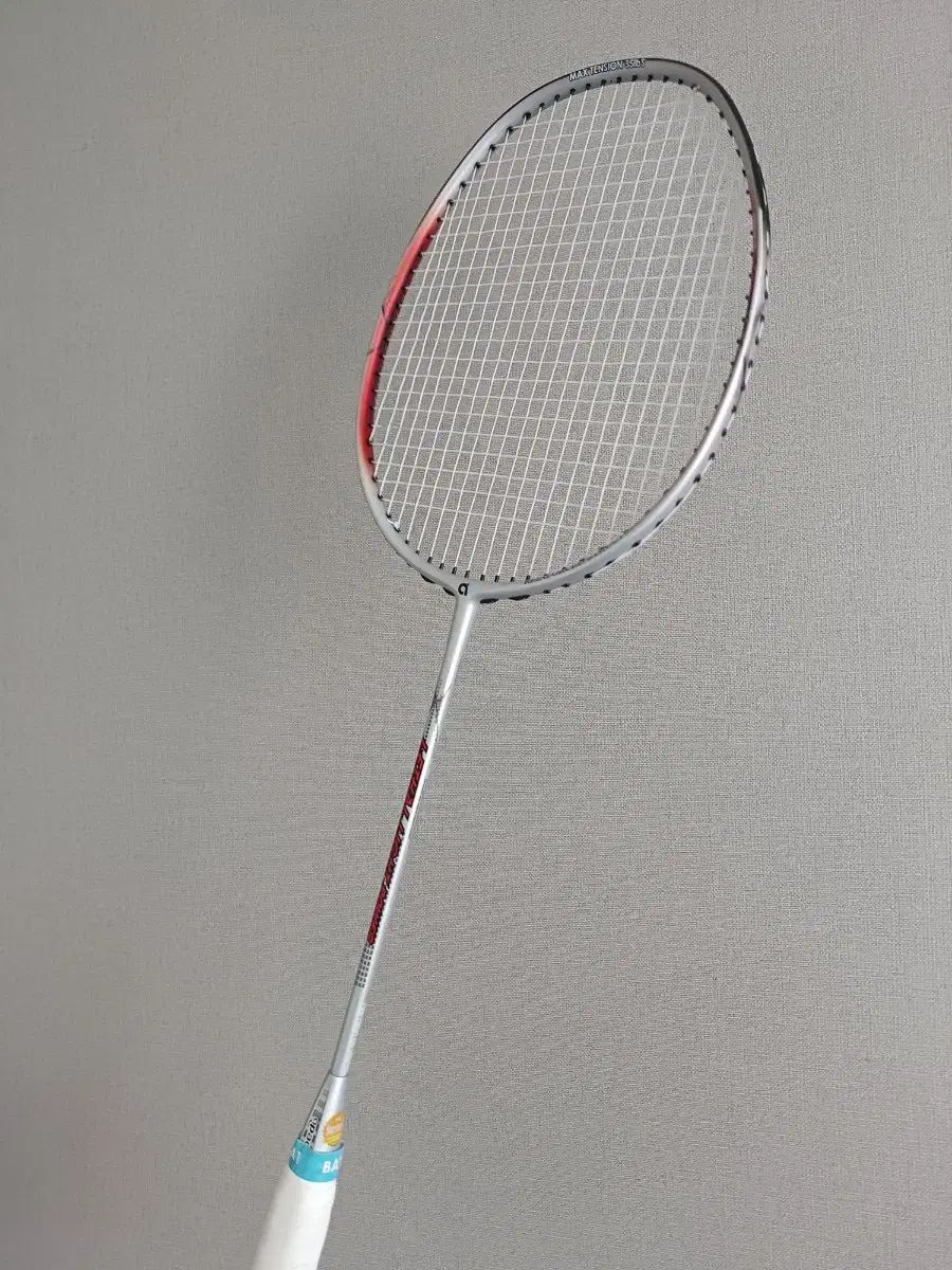 APEX リーサルライト パワー バドミントン ラケット