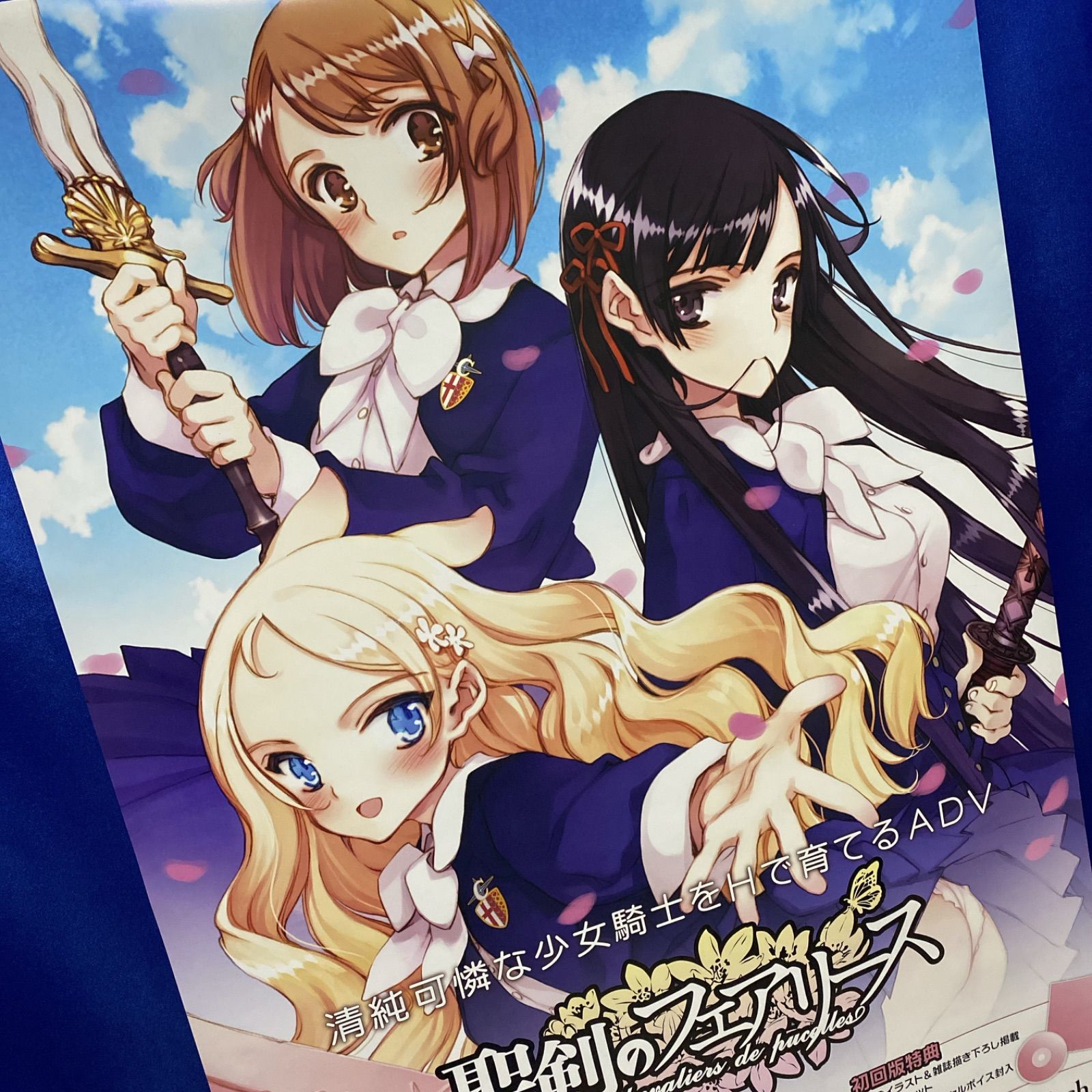 聖剣のフェアリース 大槍葦人 B2ポスター #328 - メルカリ