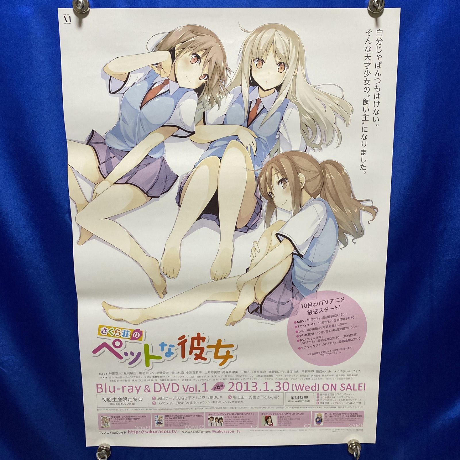 さくら荘のペットな彼女 両面B2ポスター #330 - メルカリ