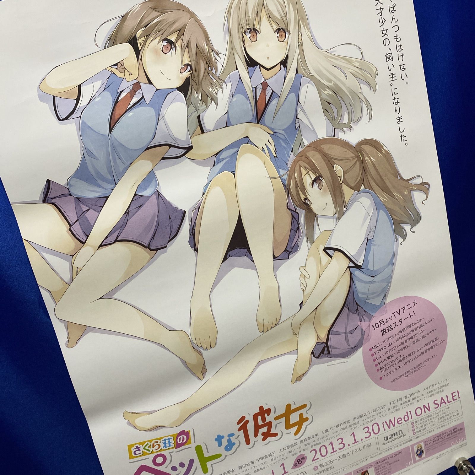 さくら荘のペットな彼女 両面B2ポスター #330 - メルカリ