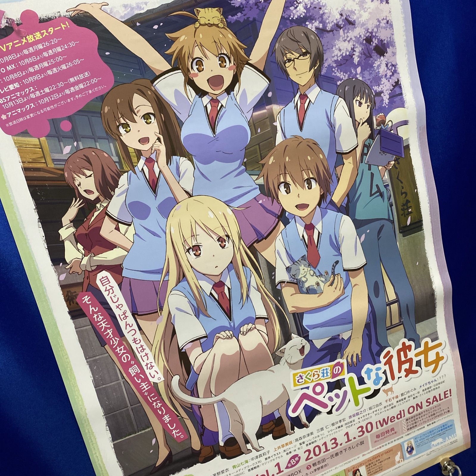 さくら荘のペットな彼女 両面B2ポスター #330 - メルカリ