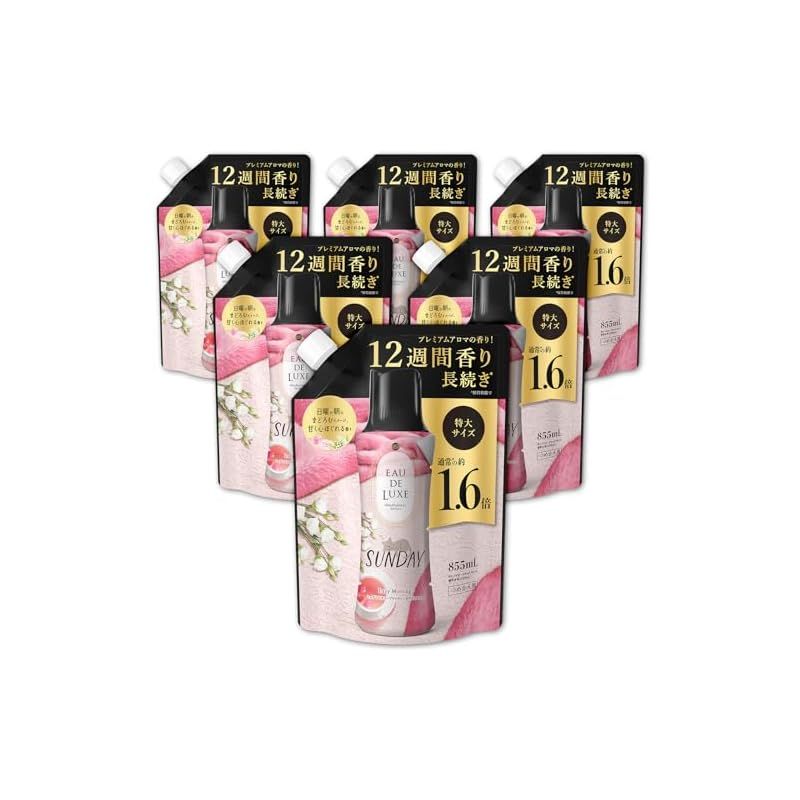 レノア Lenor オードリュクス 香り付け ビーズ マインドフルネスシリーズ サンデー 詰め替え 855mL×6袋 ケース品