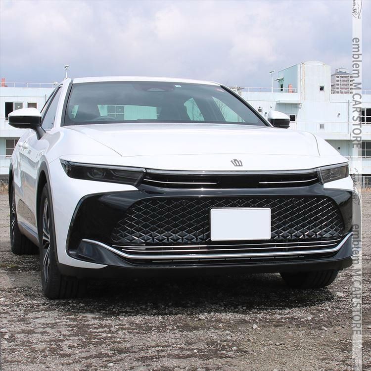 メッキパーツ ドレスアップ