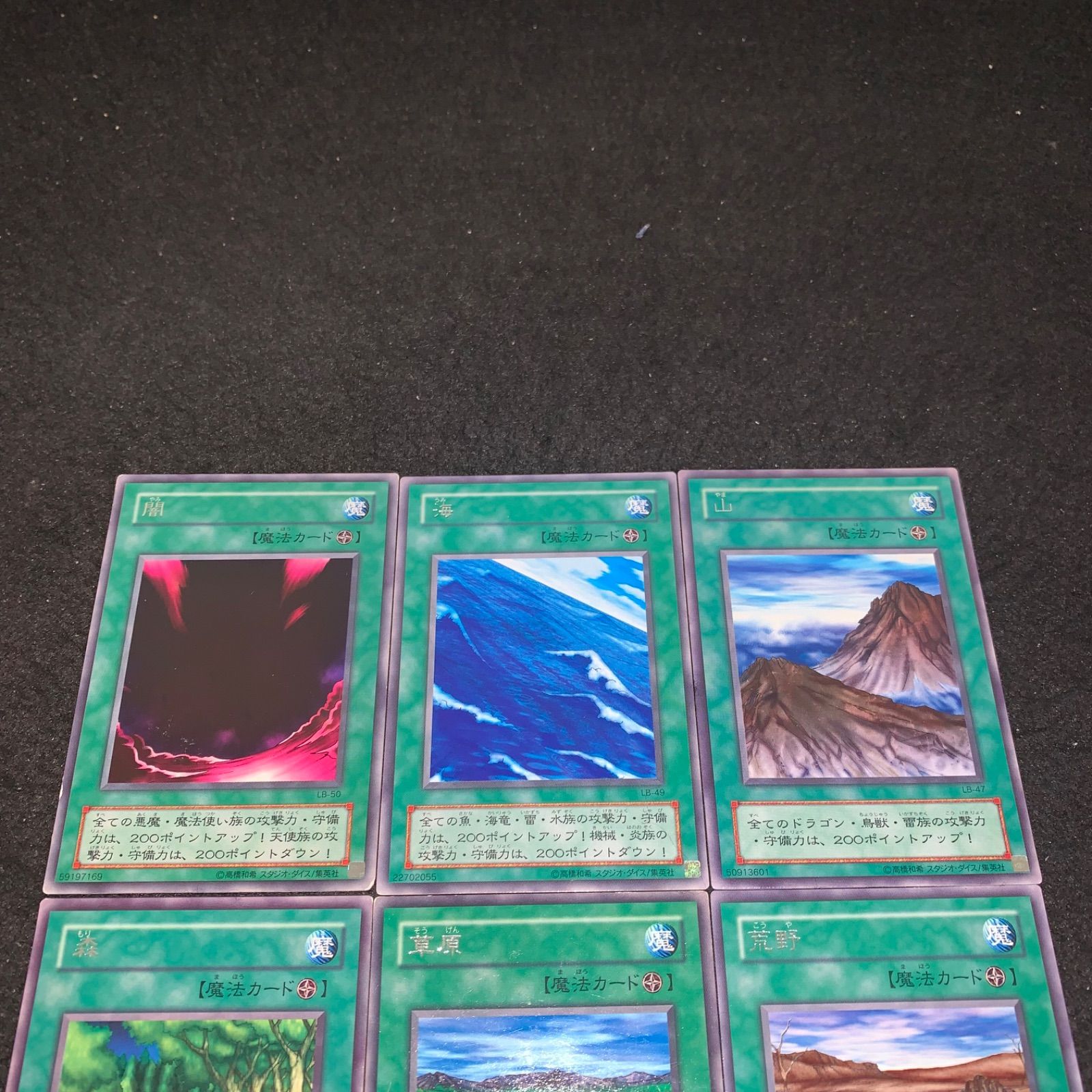 遊戯王 No.3779 2期 字レア 荒野 草原 森 山 海 闇 各1枚 計6枚 - メルカリ