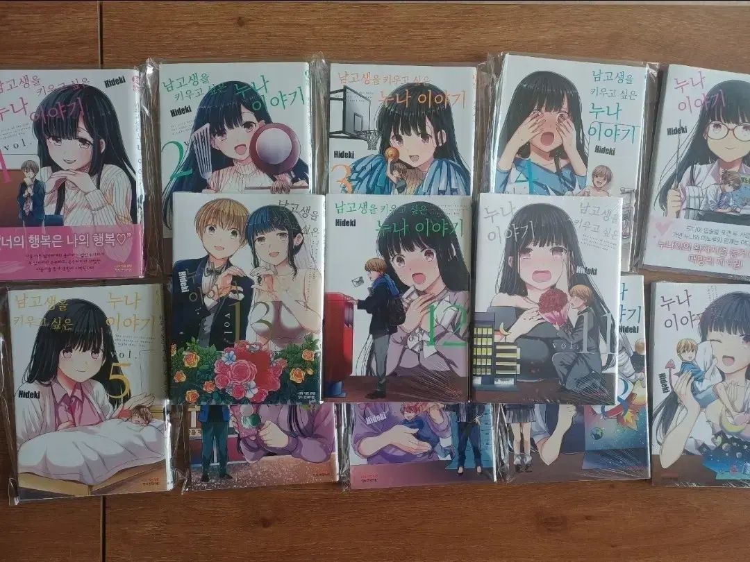 男子高校生を育てたい姉さんの物語 1 13