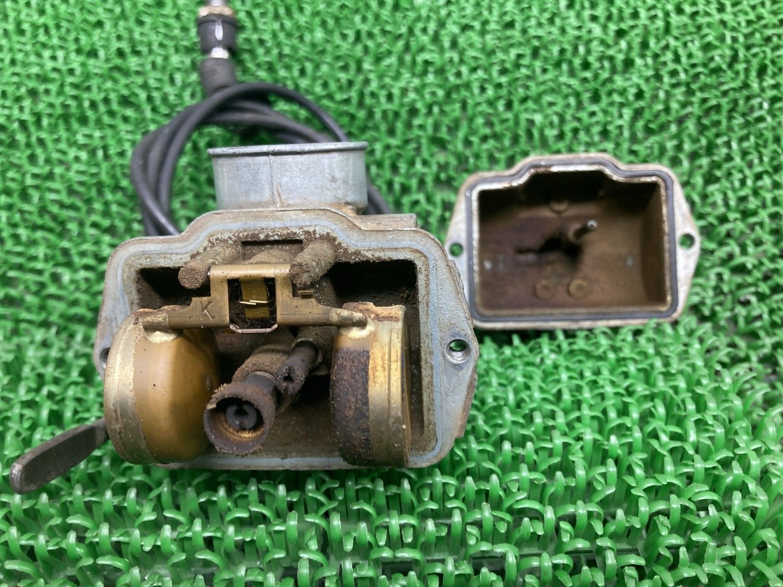 TL125バイアルス