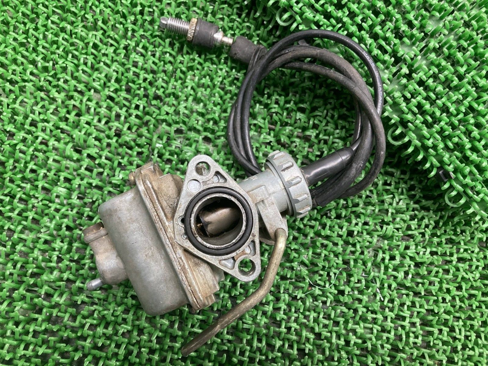 TL125バイアルス