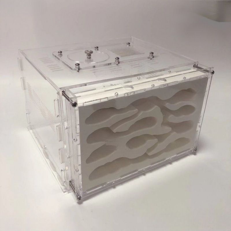 T921 数茶碗 十客『高取焼』『十三代 高取八仙 造』 共箱 茶道具