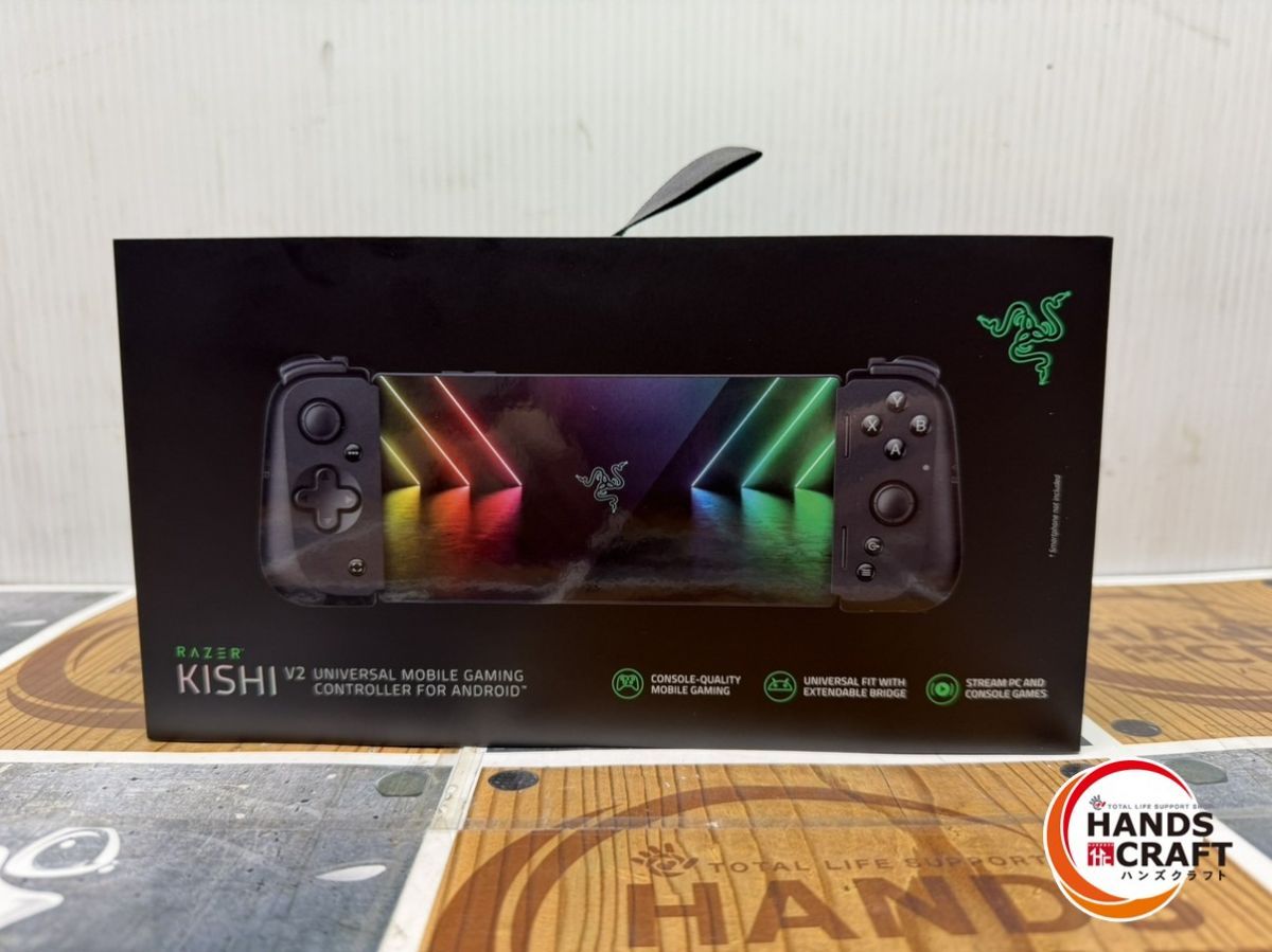 白樺の鉢植え No.29 樹高111cm 送料込