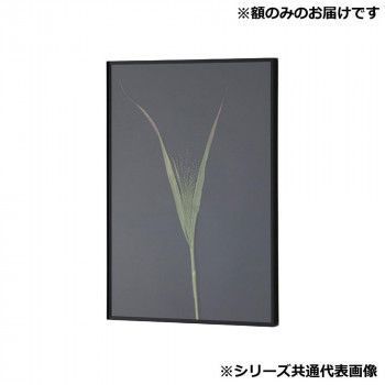 アルナ 額縁 シンプル ALUMIUM RIM マットブラック 250角 16743