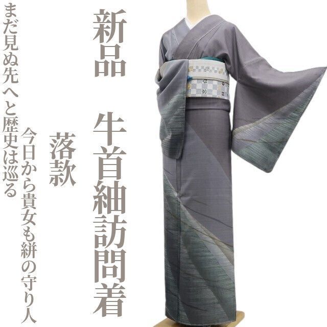 ❁tomihisa❁ 着物 正絹 落款 まだ見ぬ先へと歴史は巡る今日から貴女も絣の守り人 仕付け糸付 牛首紬訪問着 6761