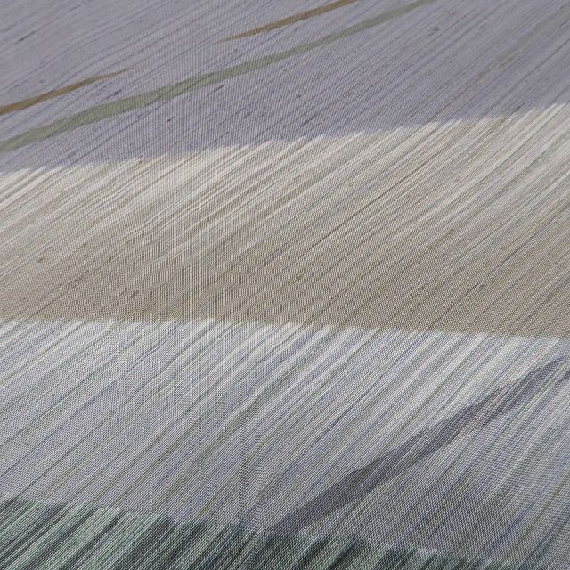 仕付け糸付 牛首紬訪問着