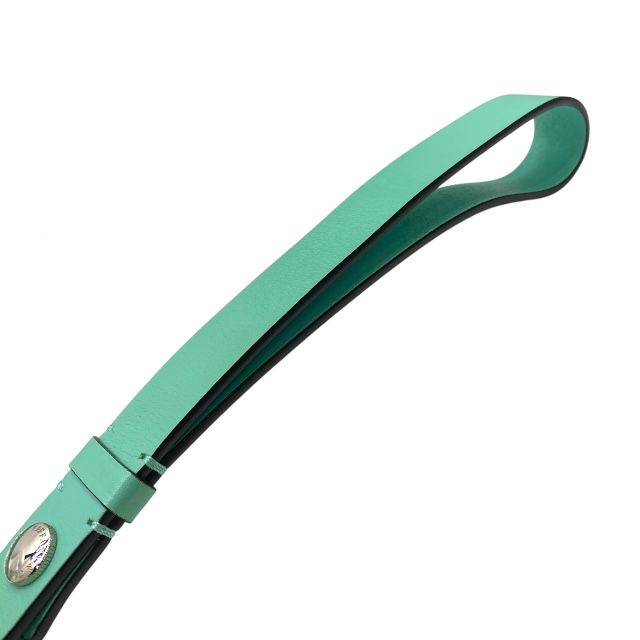 ドッグ ティファニーブルー