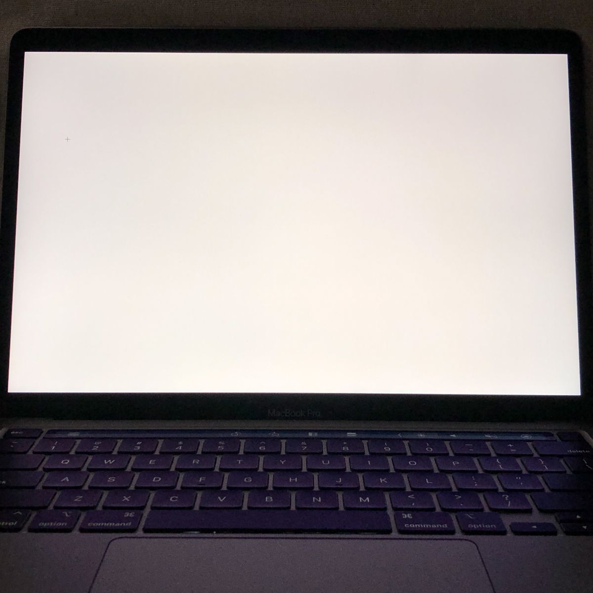 本体のみ◆Apple