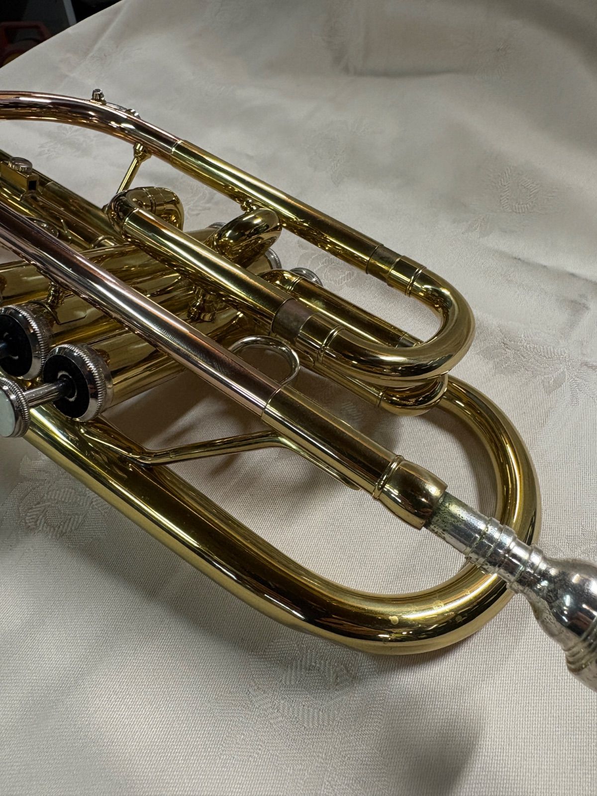 コルネット ジェイマイケル