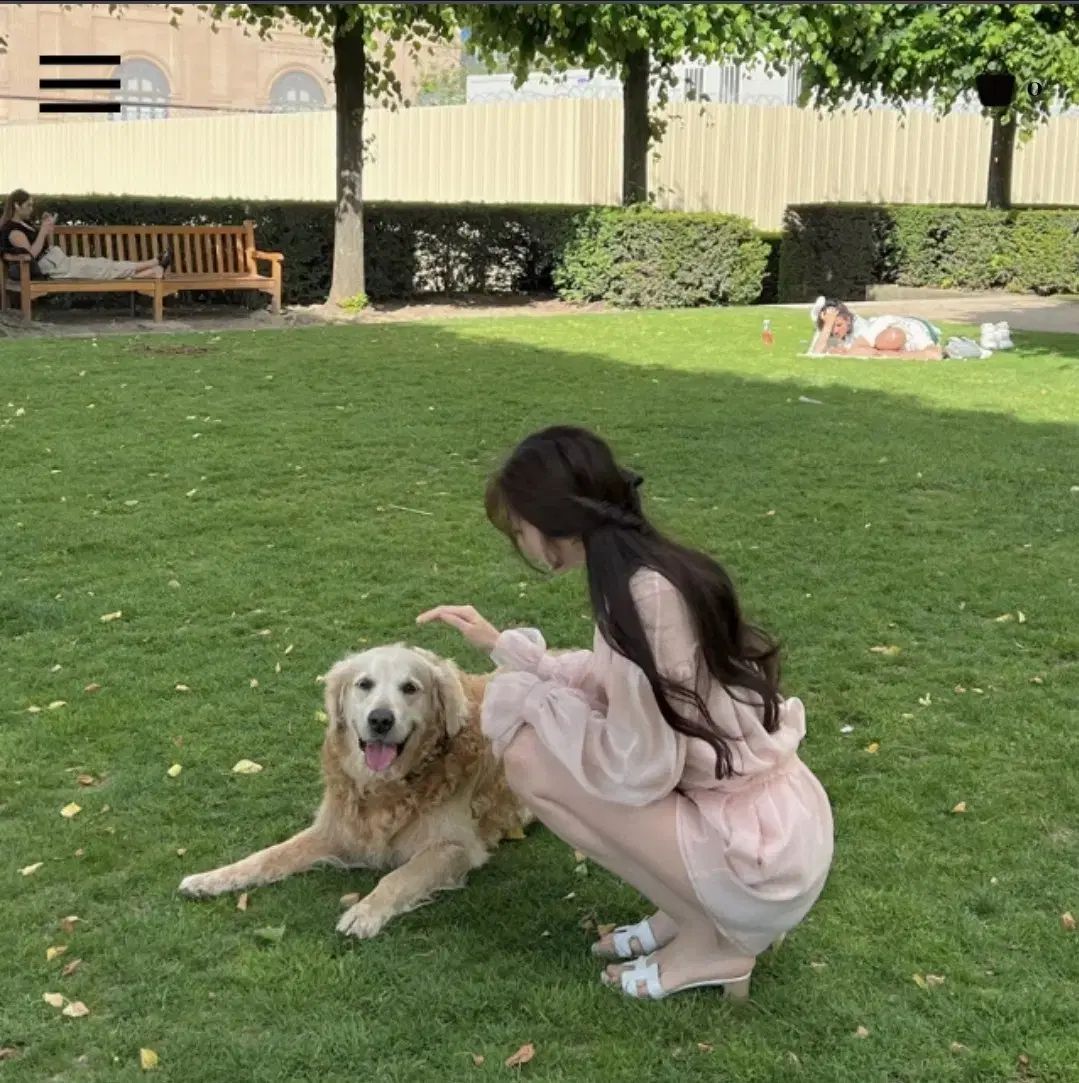 ラベルルブラン 麻ゴー セットアップ ピンク s 商品