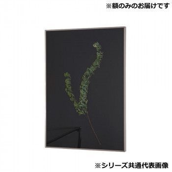 アルナ 額縁 シンプル ALUMIUM RIM マットシルバー 半切 16693