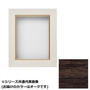 アルナ 樹脂額 油縁 ダブルフレーム 面金付き オーク F-4 61403