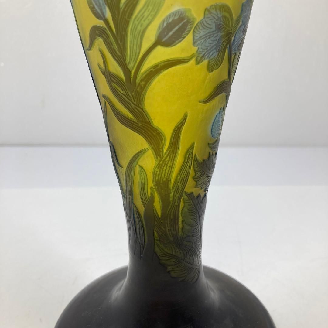 トコヒ 高さ32㎝