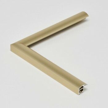 アルナ アルミフレーム デッサン額 YFM ゴールド デッサン大衣 1505