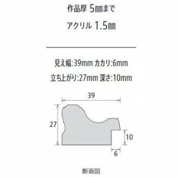 樹脂フレーム デッサン額