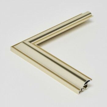 アルナ アルミフレーム デッサン額 HVM ゴールド コピー紙B5 12780