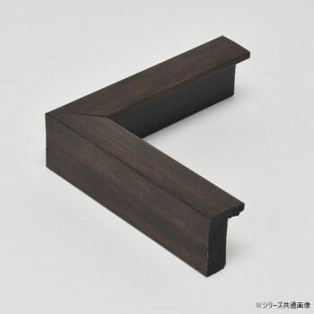 アルナ 樹脂フレーム 油額 ダブルフレーム オーク F8 61616