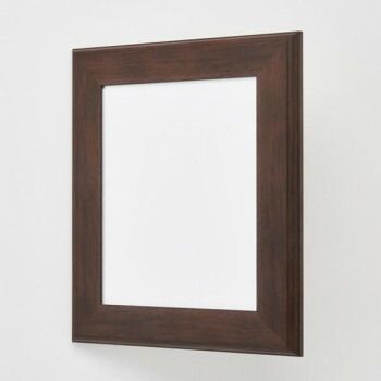 アルナ 樹脂フレーム デッサン額 APS-01 くるみ コピー紙B4 61841